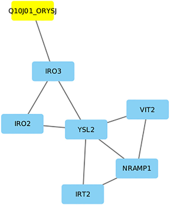 Figure 9