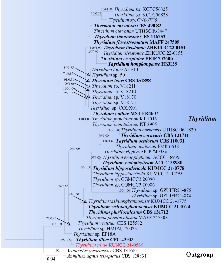 Figure 5