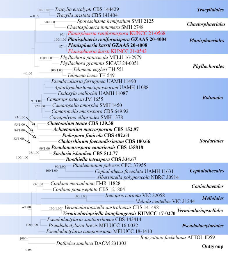 Figure 10