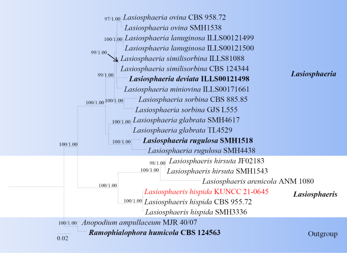 Figure 13