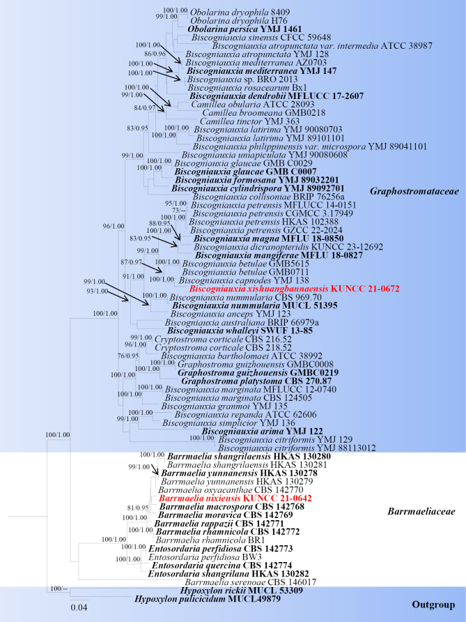 Figure 15