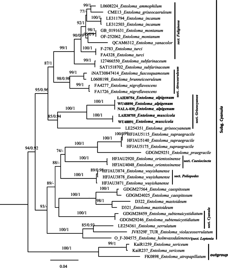 Figure 1