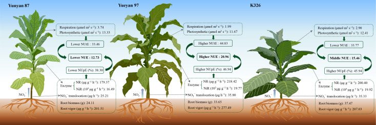 Figure 10