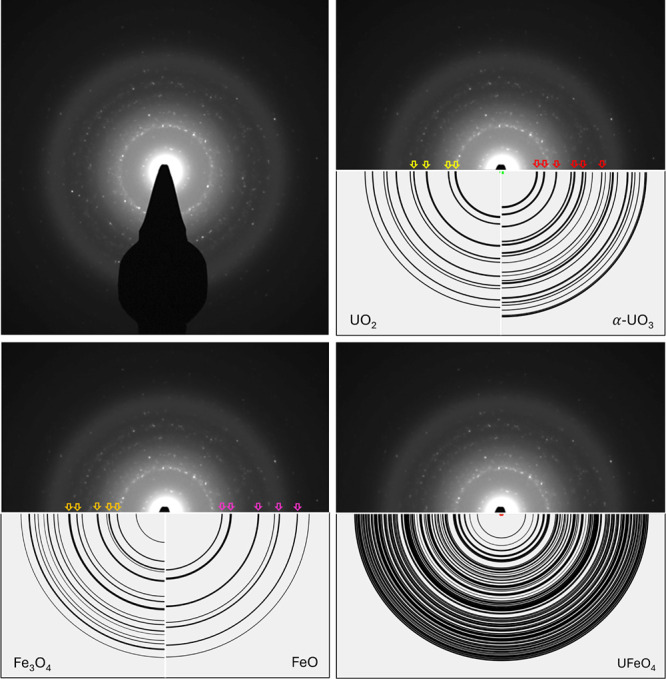 Figure 10