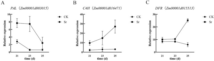 Figure 6
