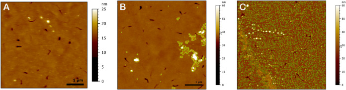Figure 13