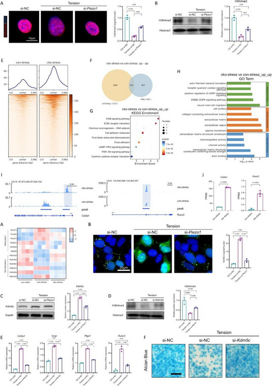 Figure 36