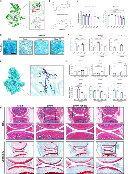 Figure 37
