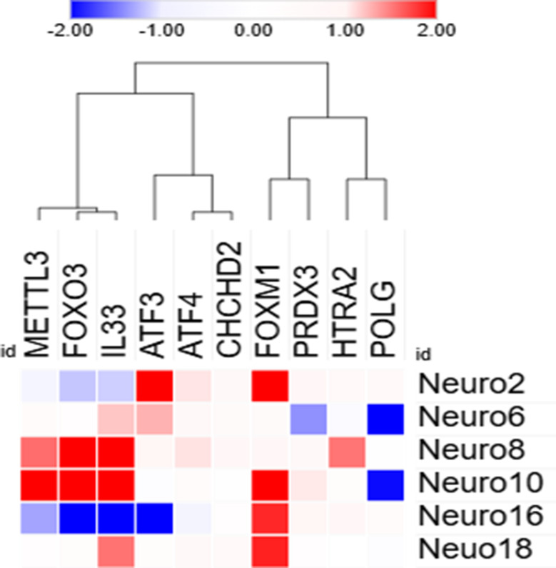 Figure 11