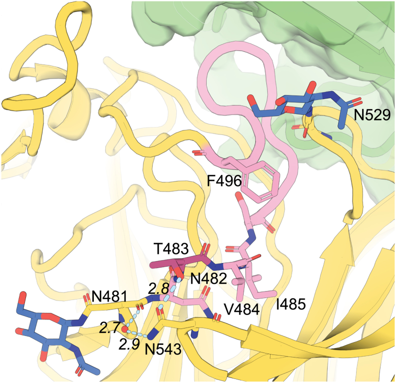 Figure 6