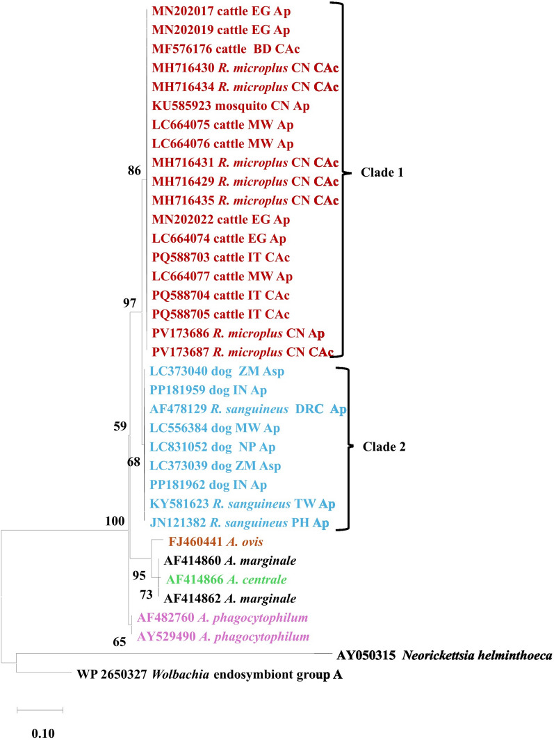 Figure 5