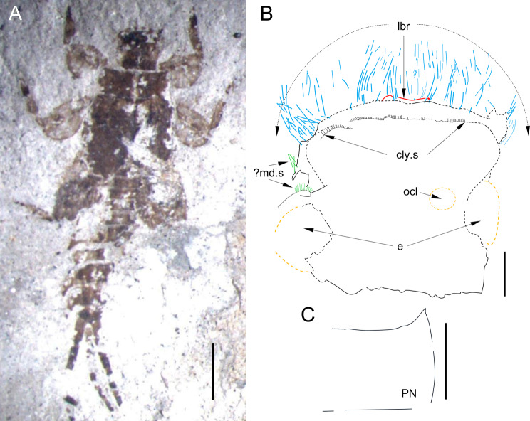 Figure 6
