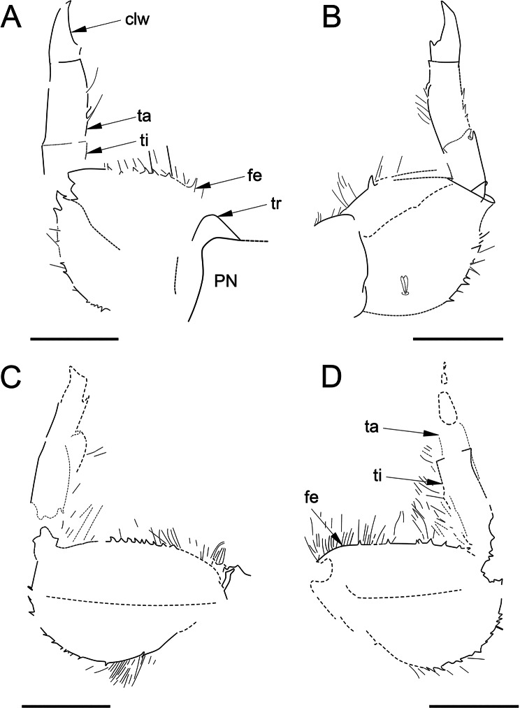 Figure 7