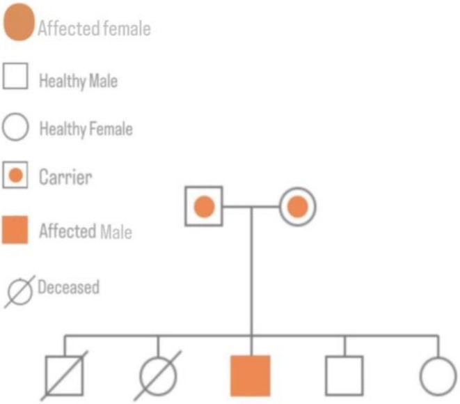 FIGURE 1