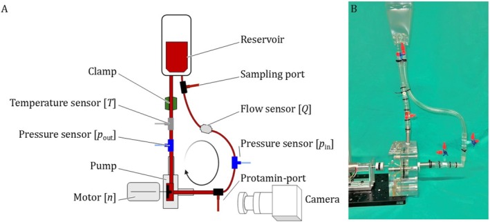 FIGURE 1