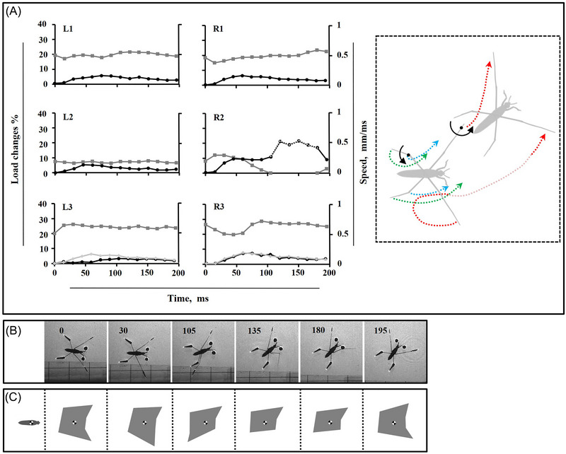 Fig. 3