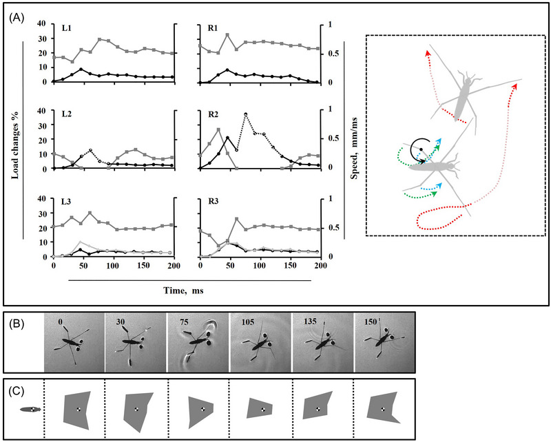 Fig. 4