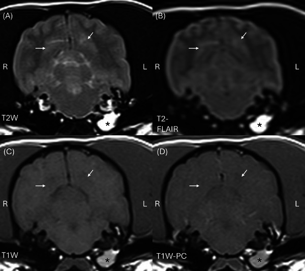 FIGURE 2