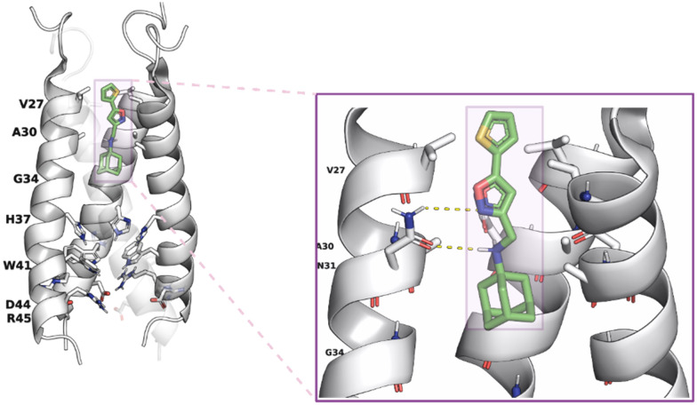 Fig. 2