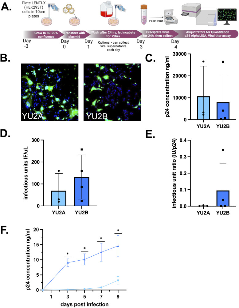Fig 6
