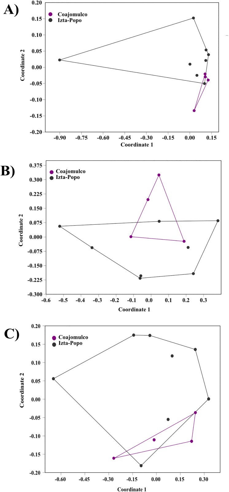 Fig 5