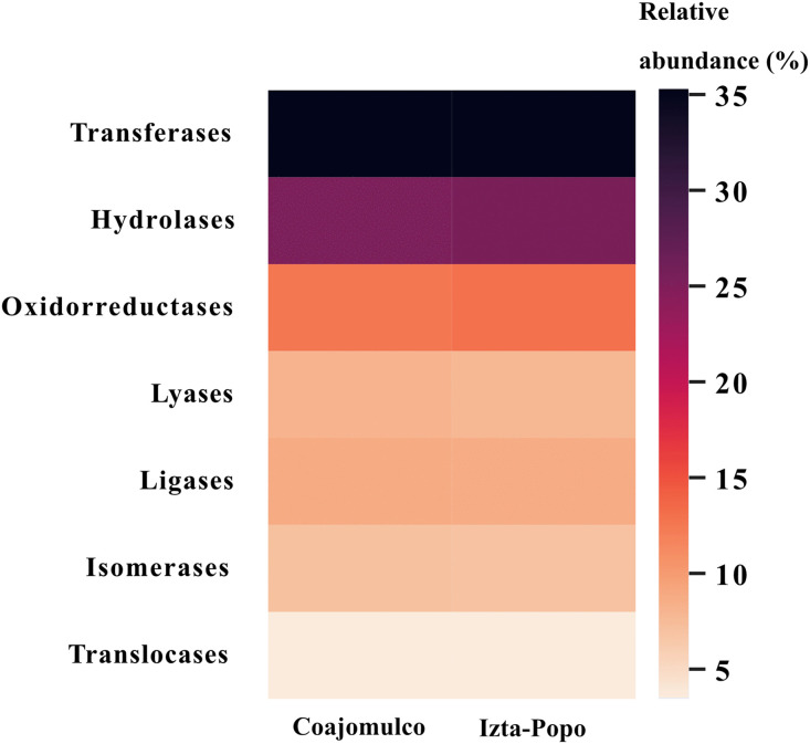 Fig 8