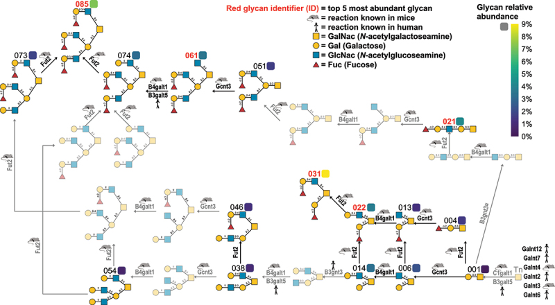 Figure 14