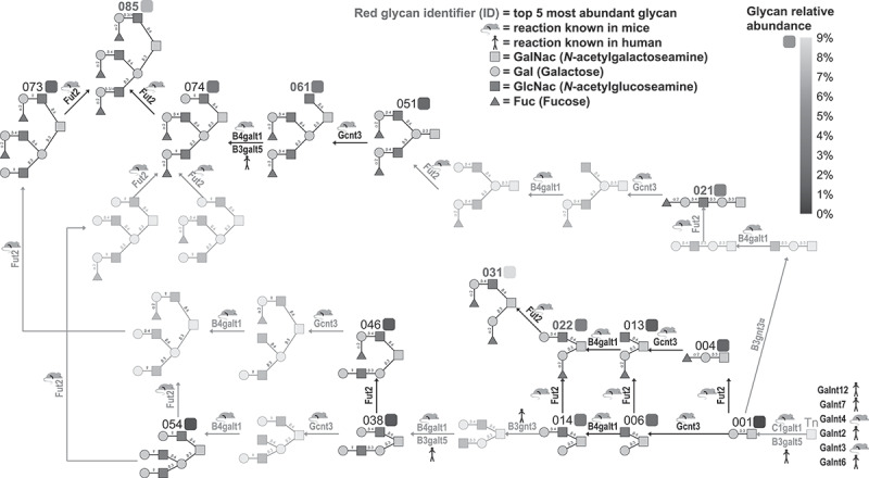 Figure 15