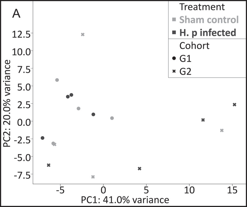 Figure 17