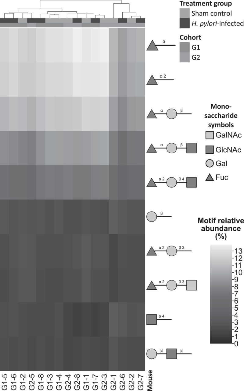 Figure 19