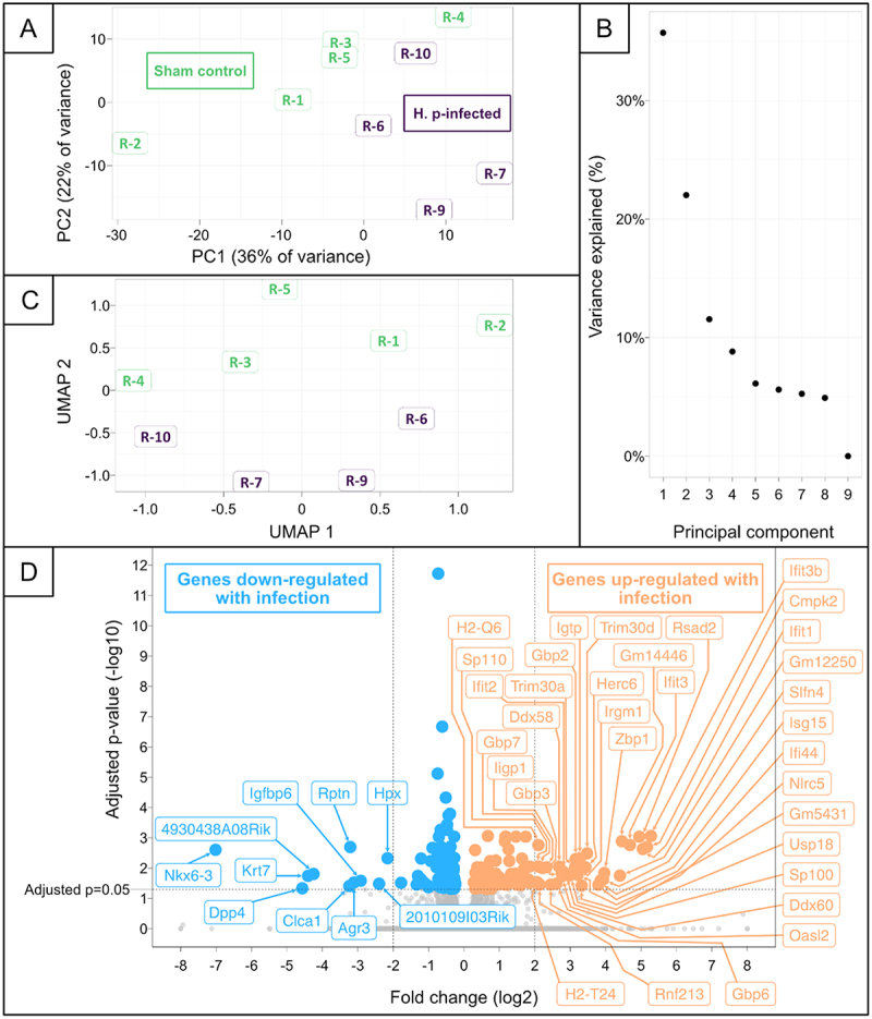 Figure 20
