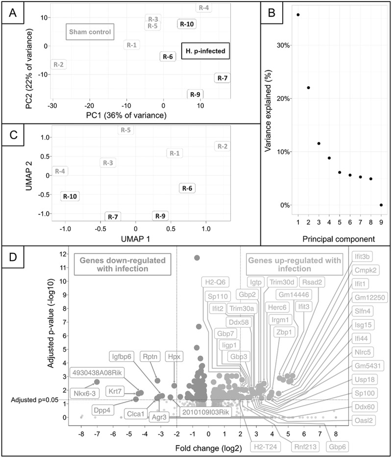 Figure 21