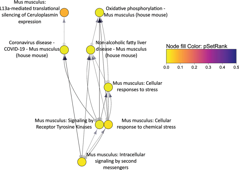 Figure 22