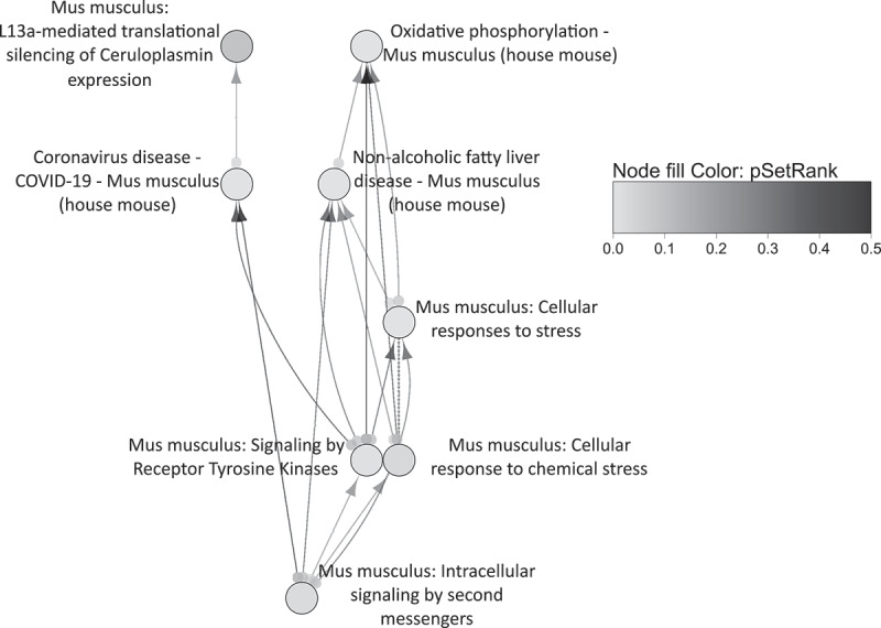 Figure 23