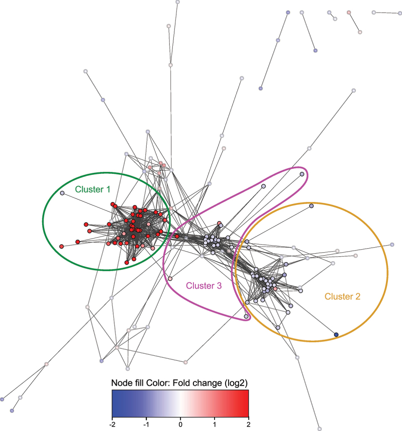 Figure 24