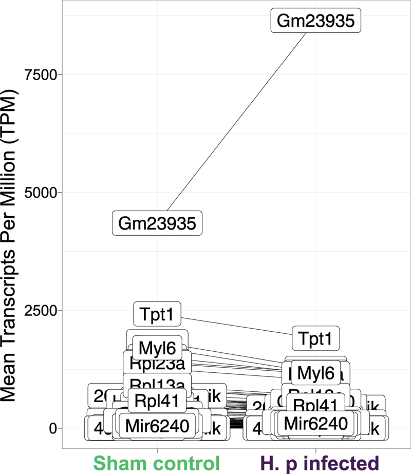 Figure 28