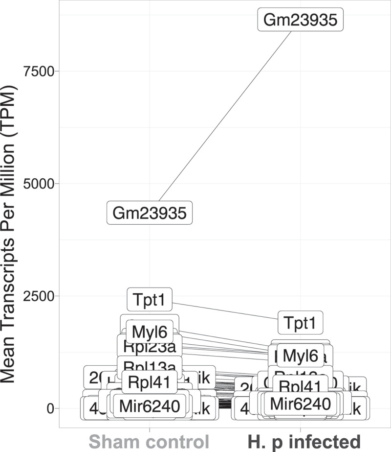 Figure 29