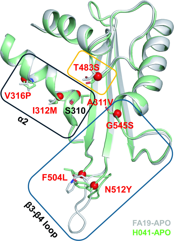 Fig 1