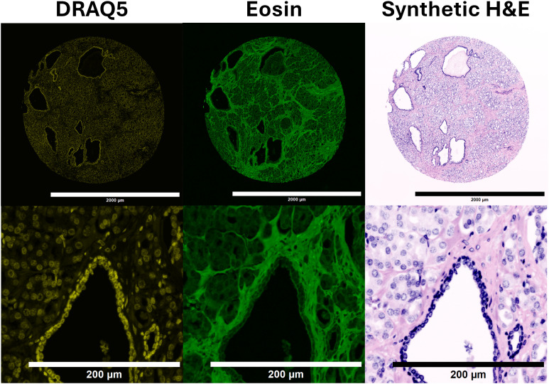 Fig 4