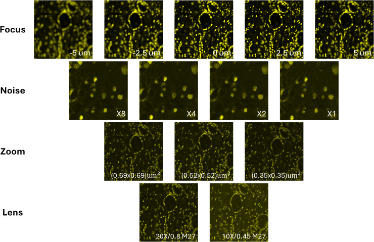 Fig 5