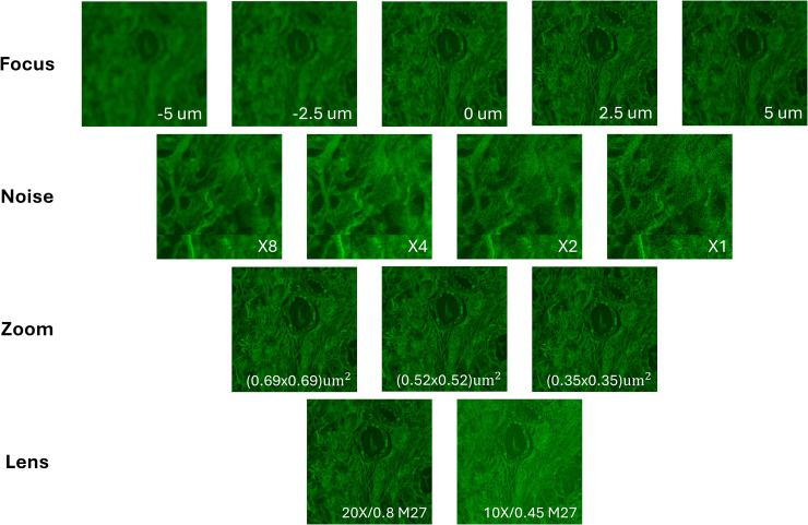 Fig 6