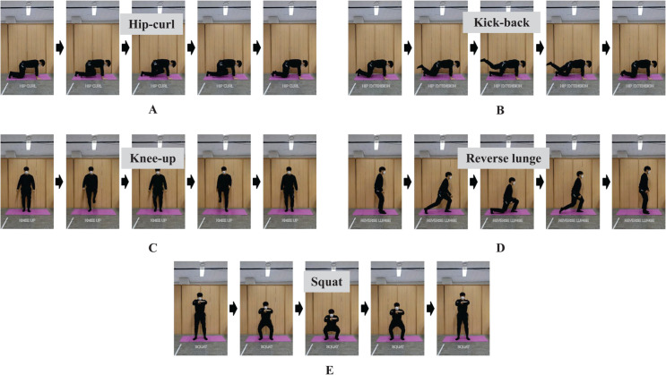 Fig 3
