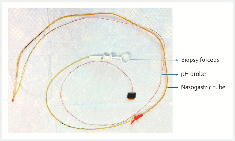 Fig. 3