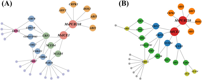Figure 2