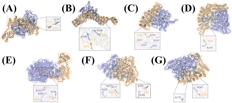 Figure 3