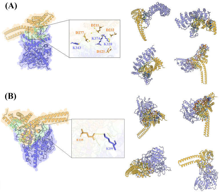 Figure 4
