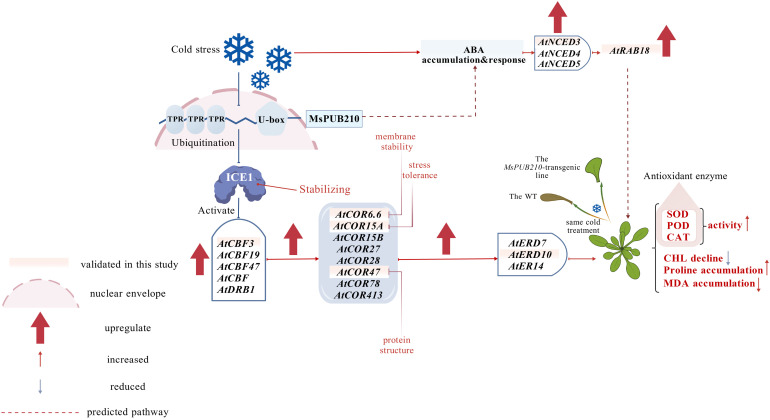 Figure 10