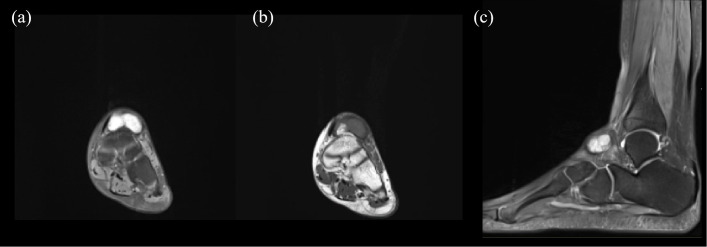 Figure 1