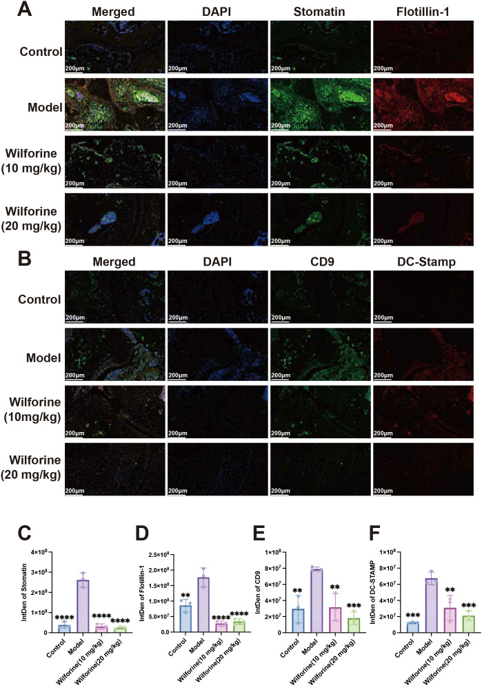 Figure 5