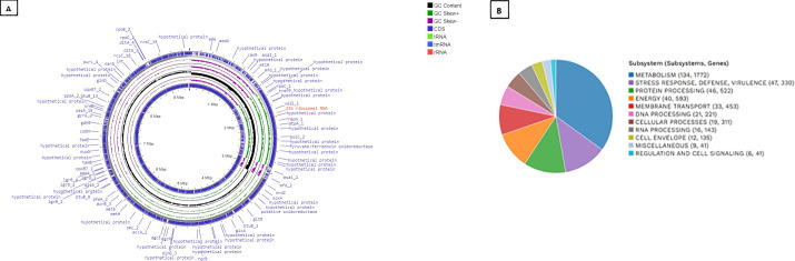 Figure 3